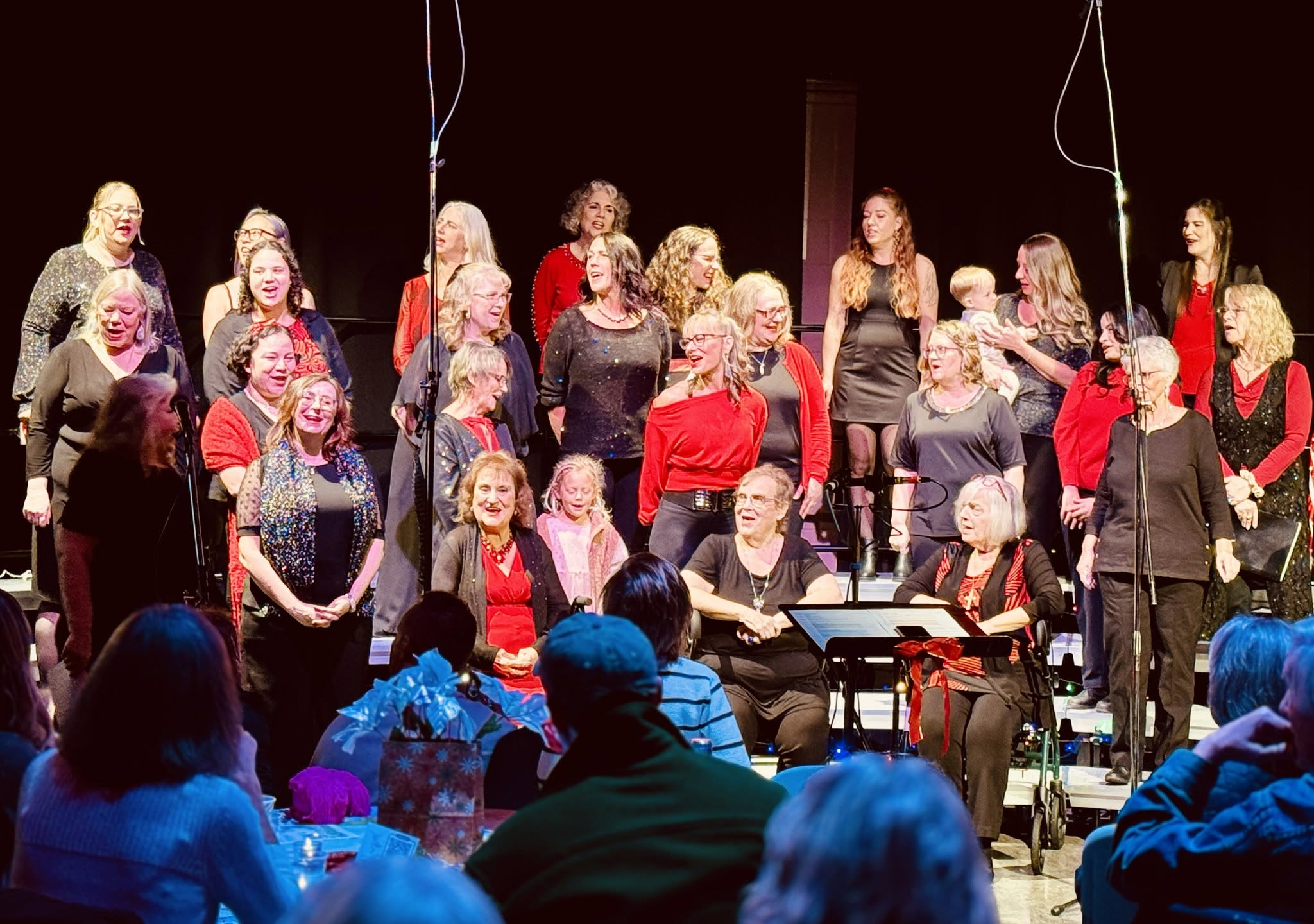 Valley EchoesWinter Harmonies